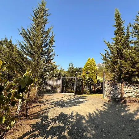 Lakeview Escape * Koman