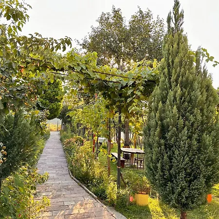 Lakeview Escape *